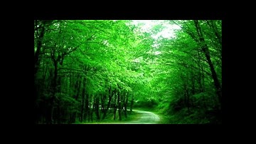 سورة الناس بصوت القارئ أحمد العجمي