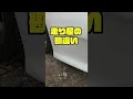 走り屋の勘違い #shorts