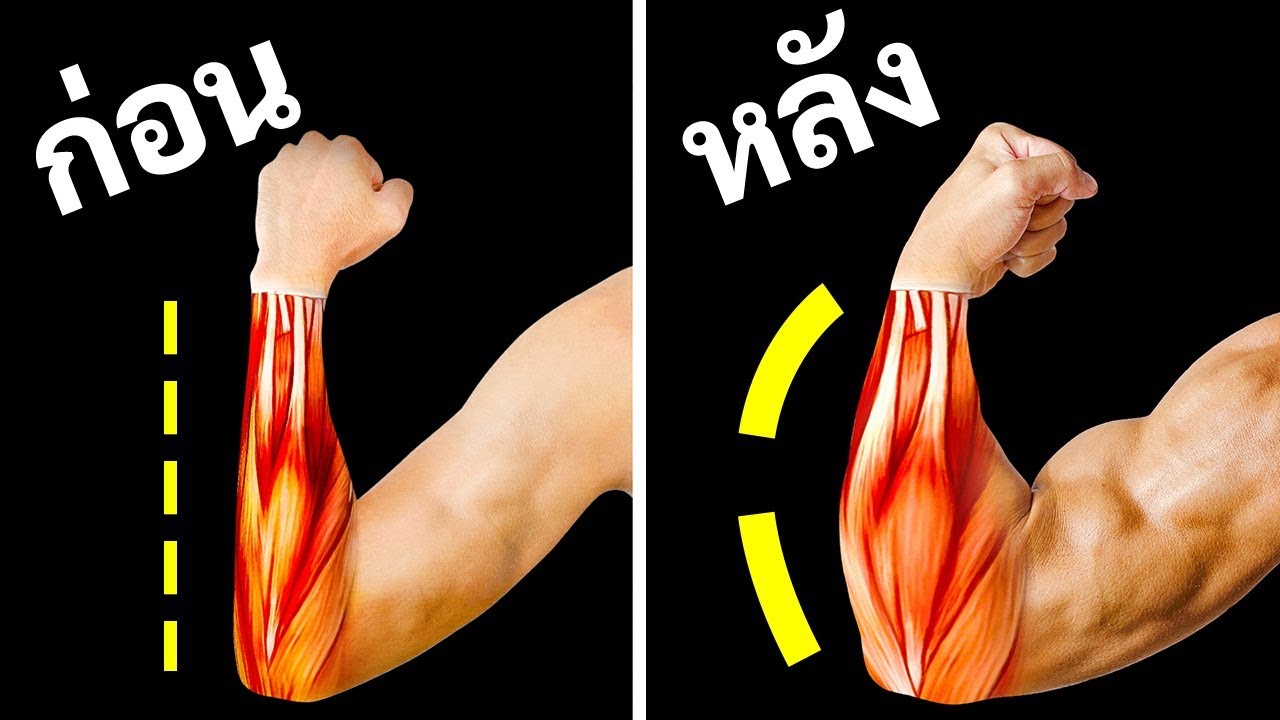 ท่าออกกำลังกายแค่ 14 ท่าที่คุณต้องทำเพื่อปลายแขนที่ใหญ่ขึ้น