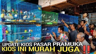 TERBARU 8 JUNI ! PASAR BURUNG PRAMUKA KIOS INI MURAH JUGA LENGKAP BAHAN SAMPAI GACORAN