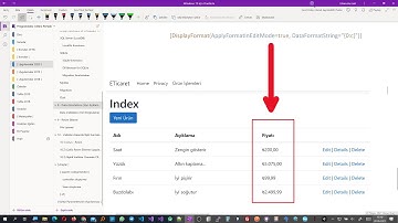 Asp.Net Core MVC #26 - ETicaret (Data Annotations, Data Validations) (1. Ders)