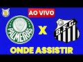 Assista ao Vivo: Palmeiras x Santos com Imagens e Onde Assistir 🏟️