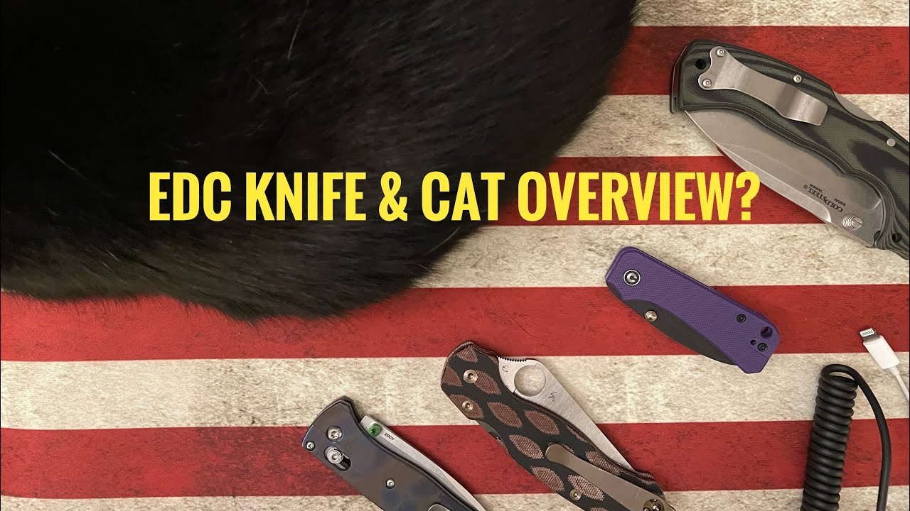 Am8 Flix (and Tippy wrangling) by Miguron Knives. A cool, refined, EDC Knife🔥💕🐈!