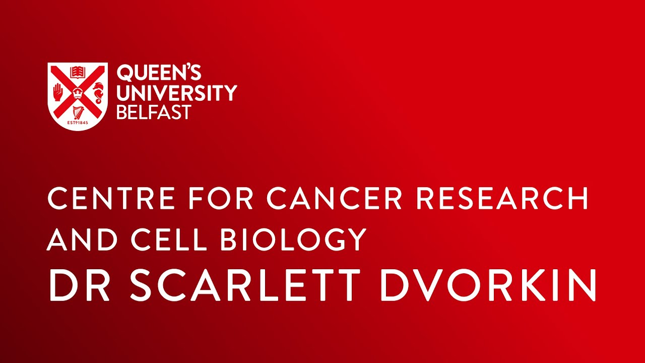 Dr Scarlet Dvorkin, Centre for Cancer Research and Cell Biology