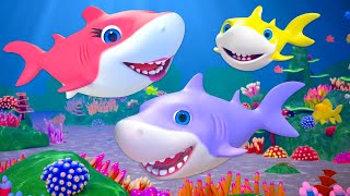 Baby Shark Doo Doo Doo + More Kids Music & Nursery Rhymes