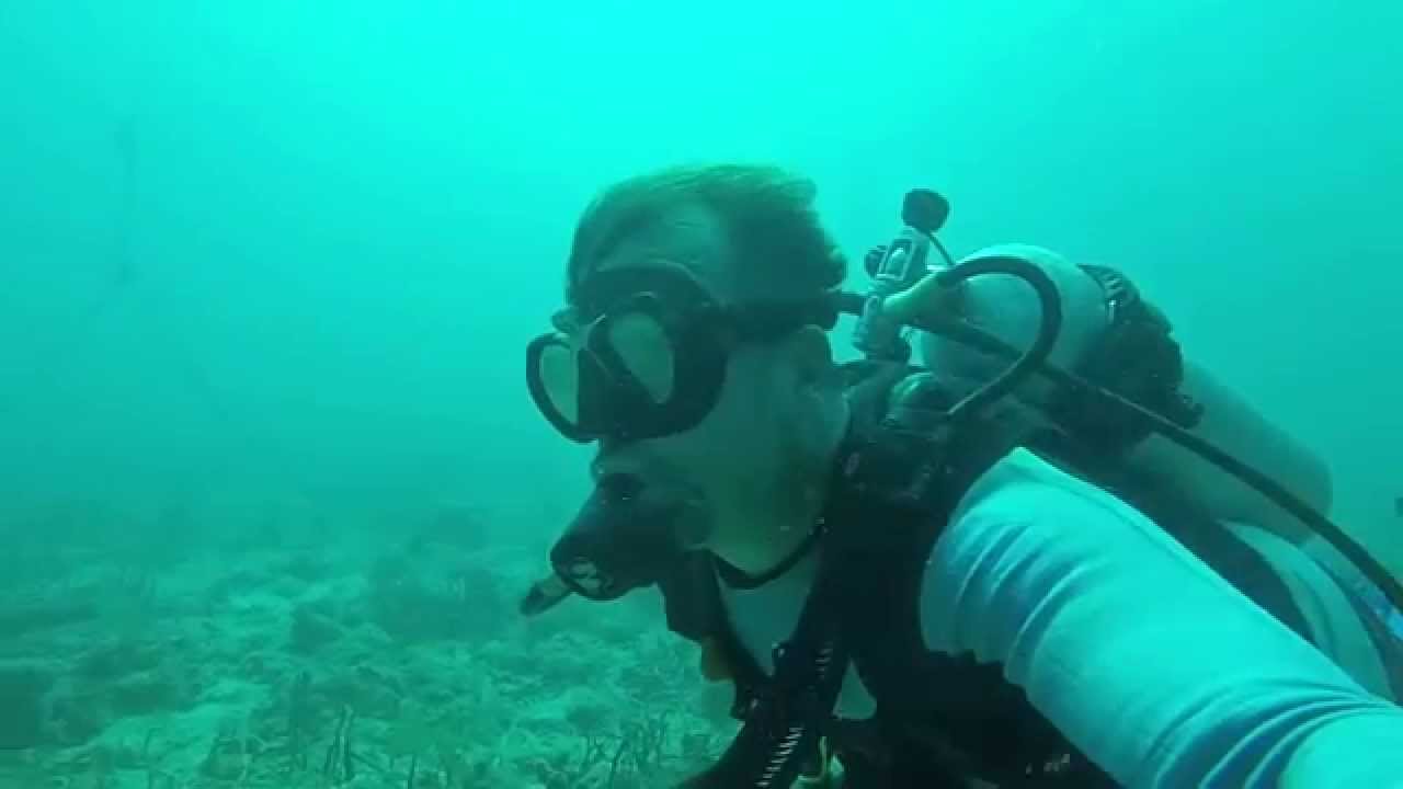 Diving in St. Thomas VI YouTube