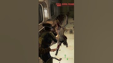 Fallout 4 jump scare #fallout #fo4 #shorts