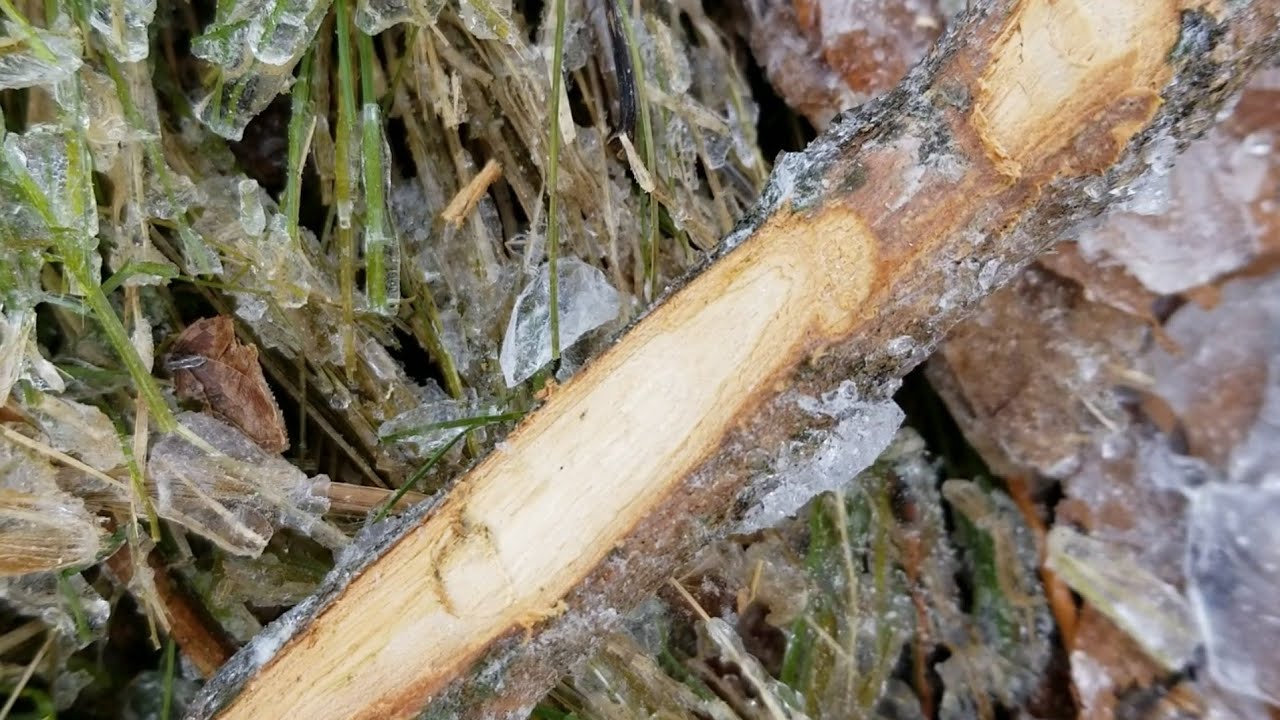 Ice Storms - Wilderness Hazards