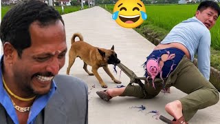 😂 This Dog Destroyed His Pants! The Funniest Chase Ever!