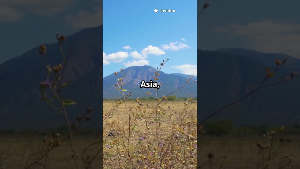 The Javan Rhino – The Last of Its Kind 