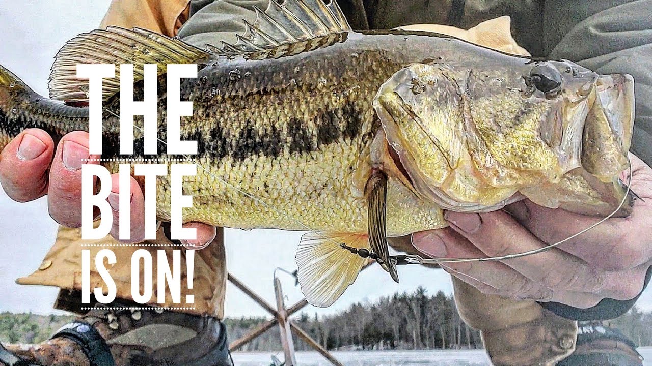 HARD WATER 2022 First ice fishing Massachusetts 2022 was a success