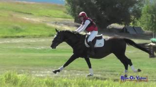 160XC Hailey Patno on Bravo Open Preliminary Cross Country Rebecca Farm July 2016