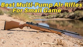 5 Best Multi-Pump Air Rifles For Small Game