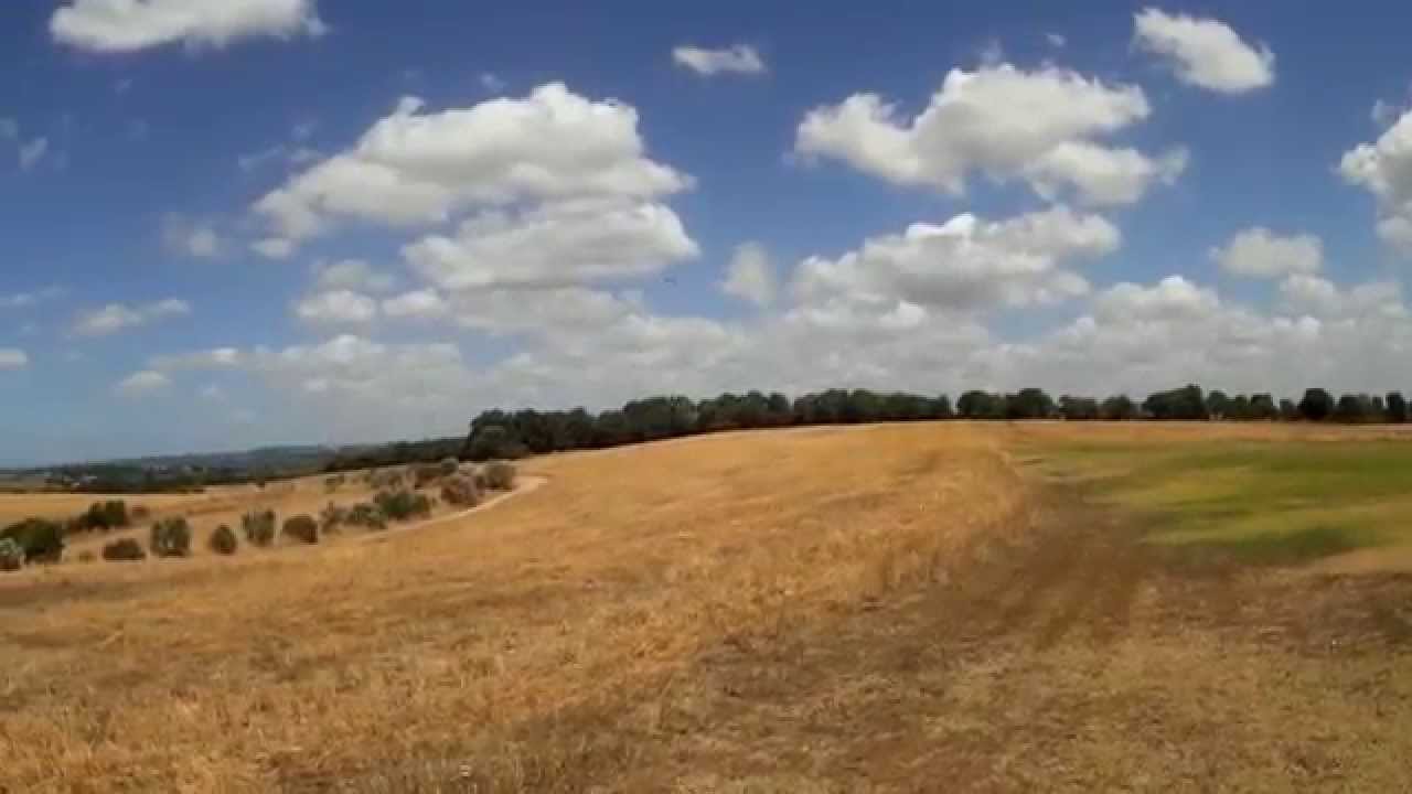 Eachine Q200 & CC3D Atom Mini