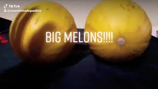 Melons