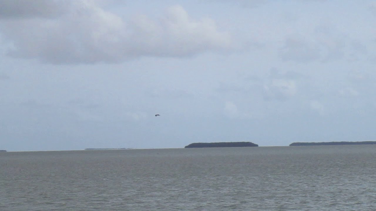 e payasage depuis flamingo sud des everglades