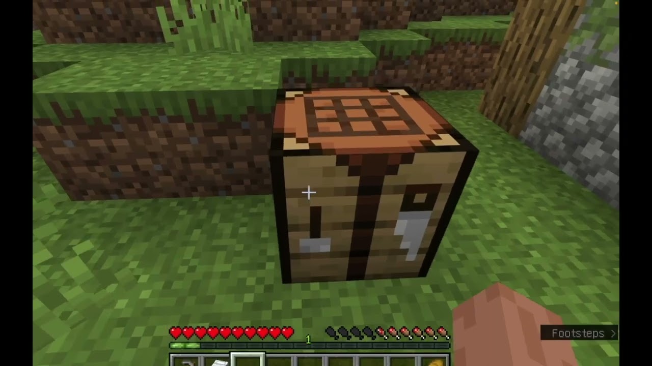 1# Začal jsem minecraft a postavil dům