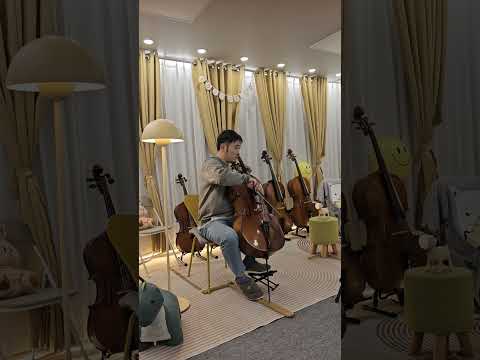 아이돌첼로
