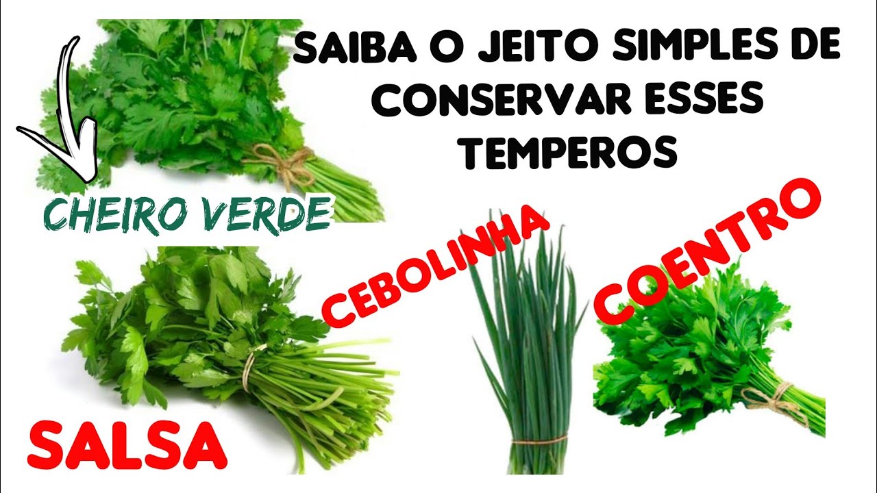 COMO CONSERVAR COENTRO(CHEIRO VERDE)POR MAIS TEMPO YouTube