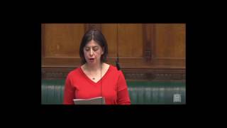 Lucy Powell MP - Joint Enterprise debate