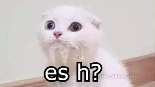 Shitposting Compilation V46