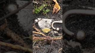 Я НЕ ХОЧУ ЗНАТЬ ЧТО ТАМ