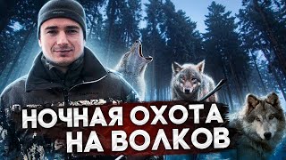 Стая Волков нападает на охотника. Охота на волка.A pack of Wolves attacks the hunter. Wolf hunting.
