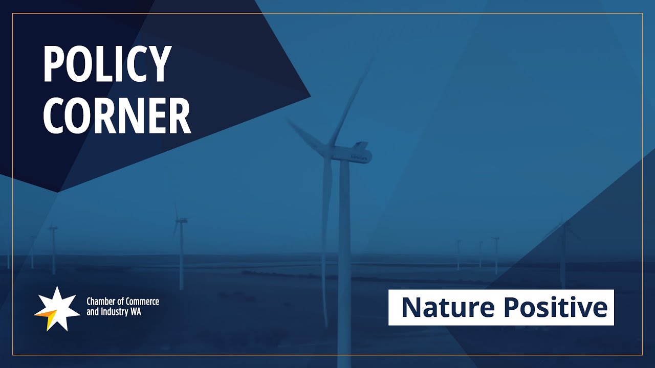 CCIWA Chief Economist Aaron Morey on the negatives of Nature Positive