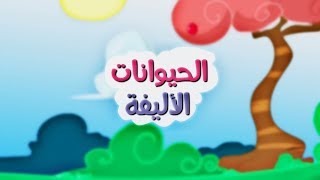 الحيوانات الأليفة - طيور بيبي | Toyor Baby screenshot 4