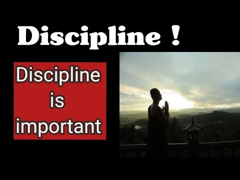 Discipline || The importance of discipline in life - YouTube