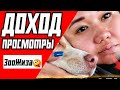 ЗооЖиза🤪 -  ДОХОД, ЗАРАБОТОК НА ЮТУБЕ | БУДУЩЕЕ КАНАЛА