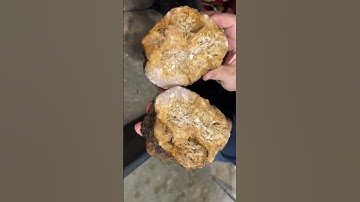 Day 19 of 31 Days of Possible GEODES