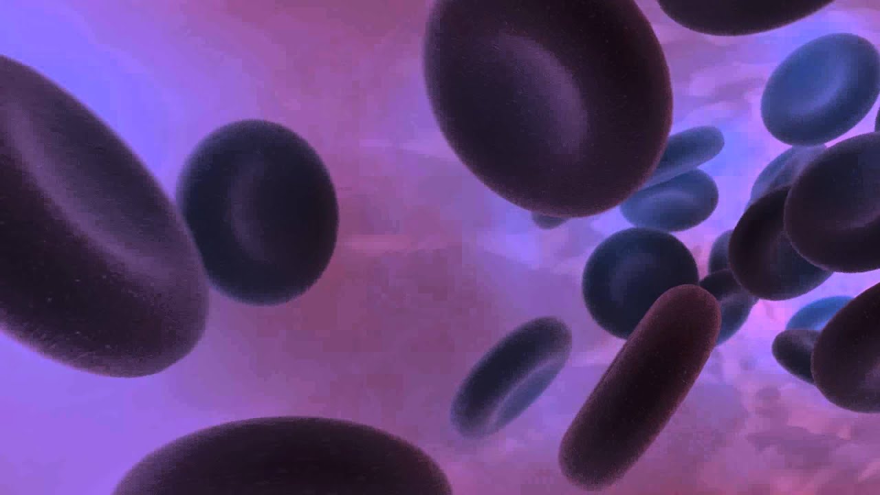 Blood poisoning! YouTube