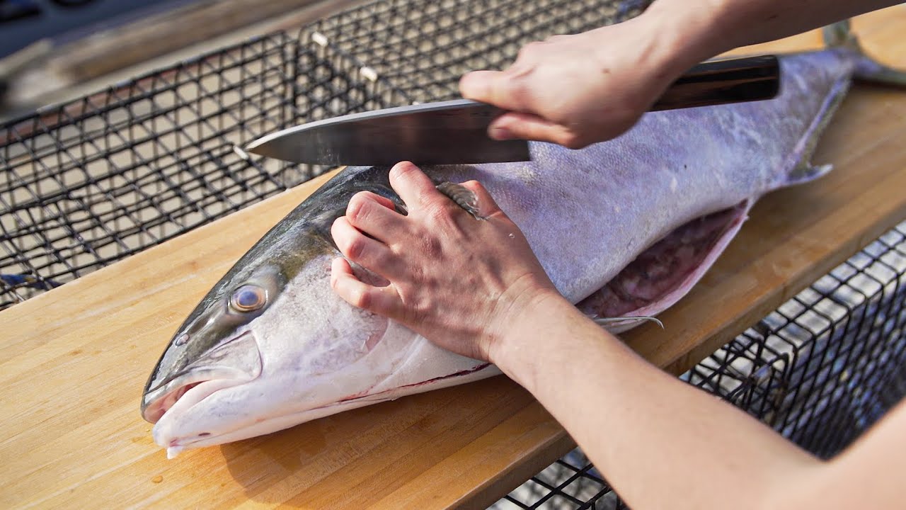 Best BREAKDOWN for COLLLAR