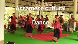 Assamese cultural Dance | Traditional Dance | আসাম লোকনৃত্য