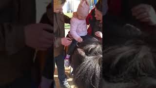 Pony riding! Children&#39;s have fun!!!Nursery song!!!