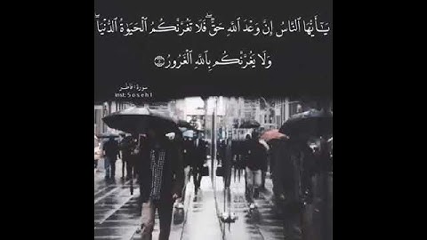 الشيخ ماهر المعيقلي ⎮ حالات واتس اب قرآن كريم 💙