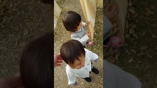 2018021601月津港燈節(2y0m27d)