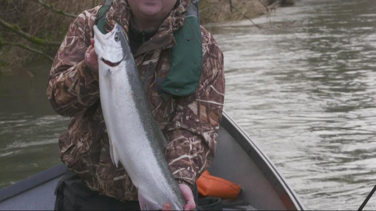 Grant’s Getaways: Godfathers of broodstock steelhead