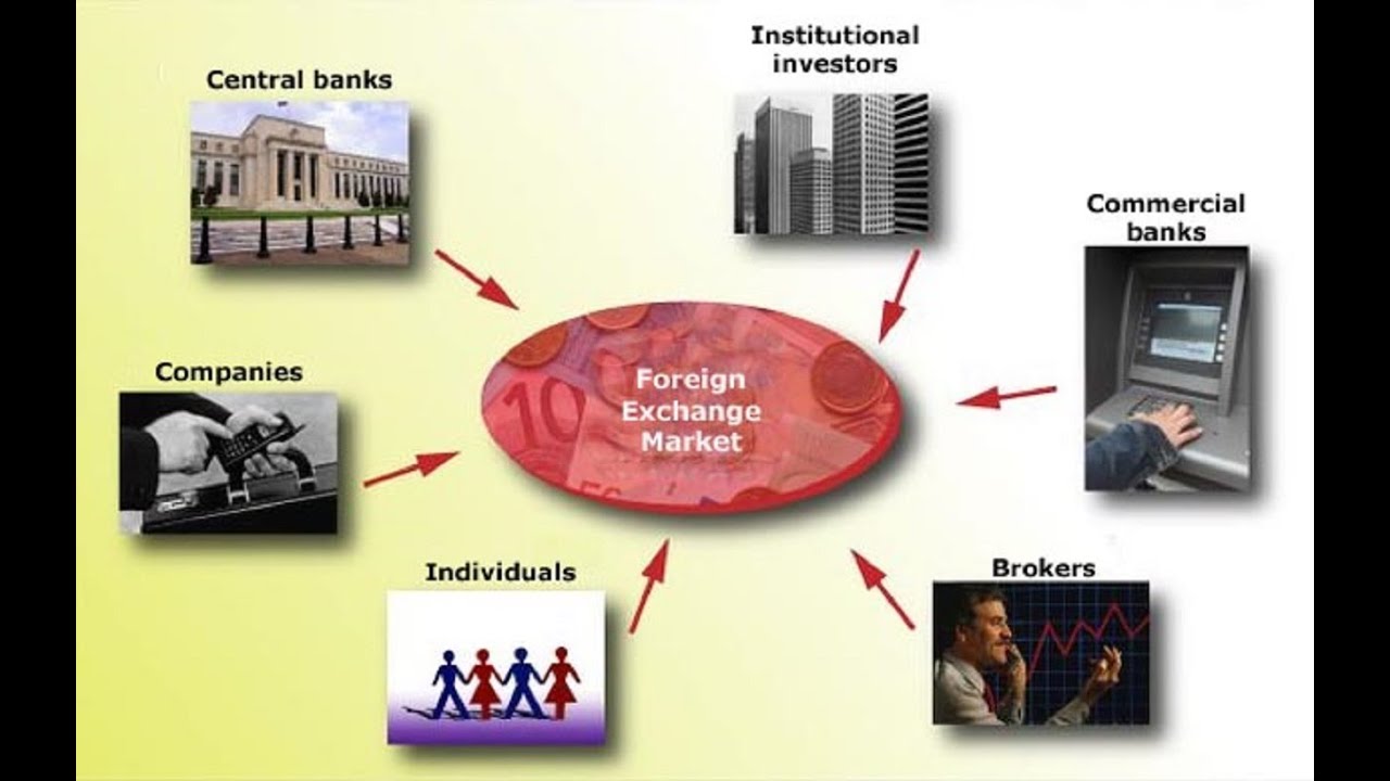 Foreign Exchange Market Participants - Learn To Trade ...