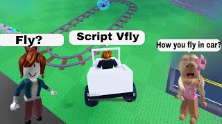 Vfly Script universal