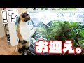 家に新しい家族が増えました。