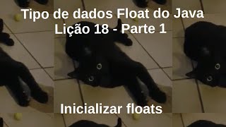 Tipo de dados Float do Java Lição 18 - Parte 1 - Inicializar floats #java #programming #programação