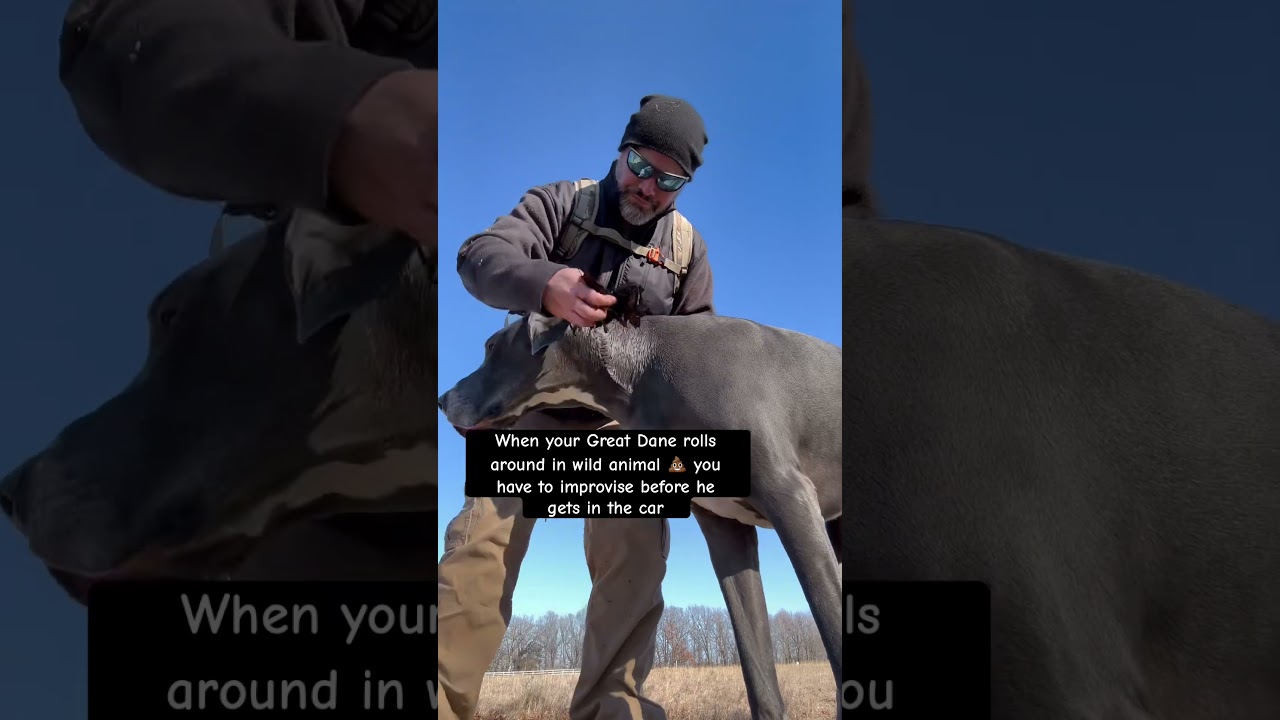 The things we do as dog owners 🤦&zwj;♂️