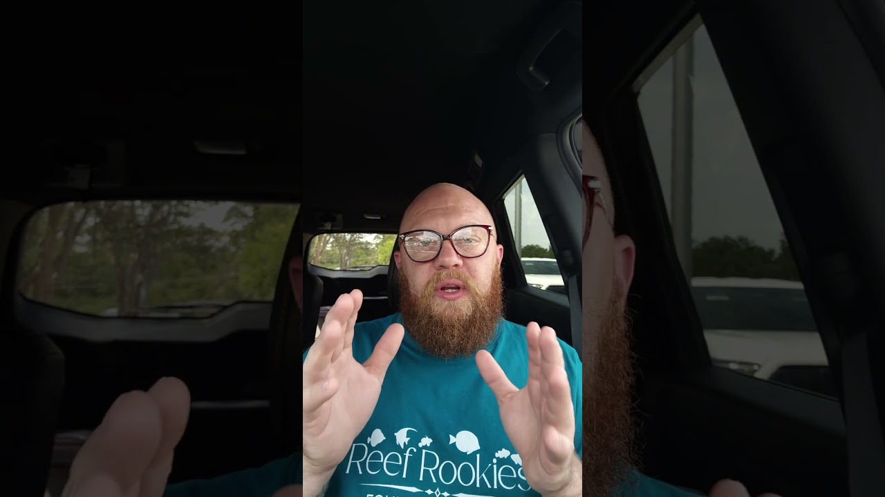 Вызывает ли белый свет рост водорослей в рифовом аквариуме? 