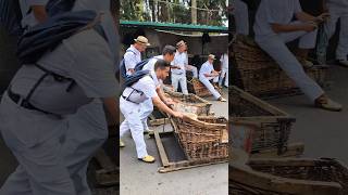 Korbschlittenfahrt auf Madeira, Portugal #madeira #portugal #travel #vacation