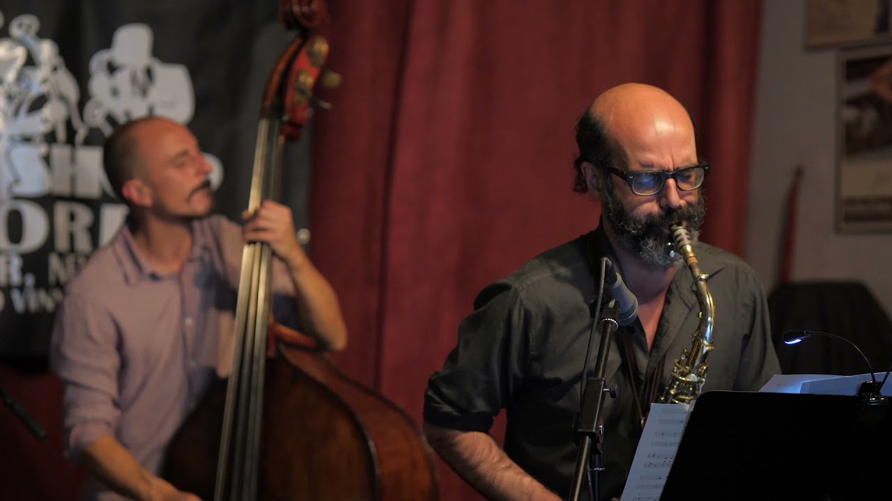 My World (Irniger) by Christoph Irniger Trio & Michael Attias