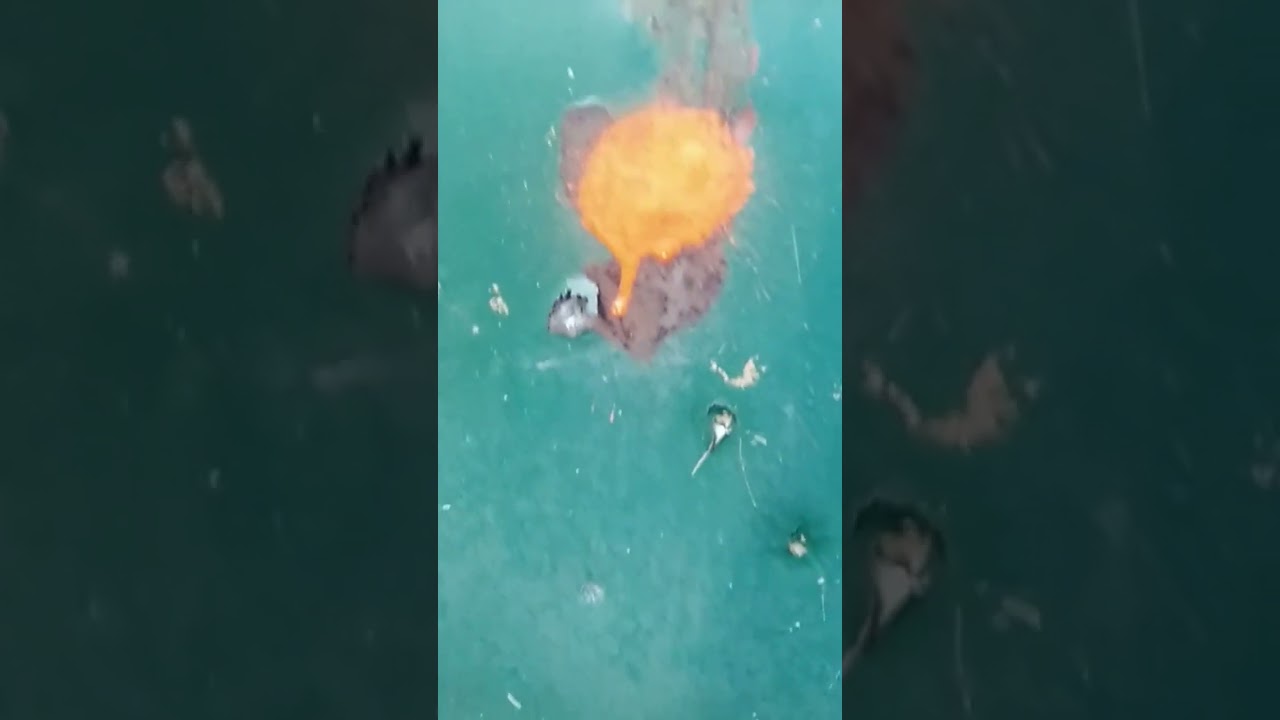 Benjamin marauder pistol vs ground squirrel                                  