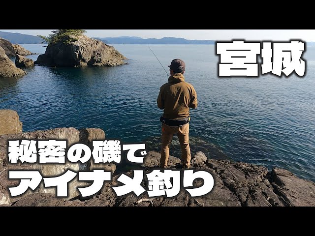 宮城釣り】半島で見つけた秘密の磯でアイナメ釣り - YouTube