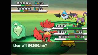 Pokemon BW - Triple Battle #2 *Route 7*